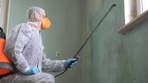  , USA Mold Removal Pros